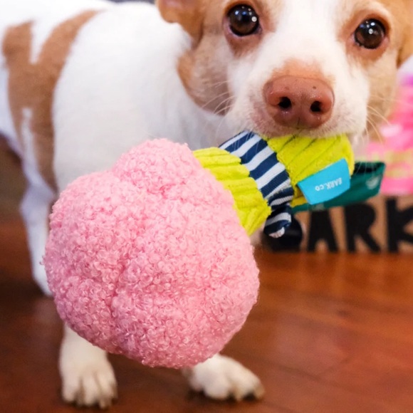 BARKBOX HYDRANGEA BOOPQUET PLUSH DOG TOY - Picture 4 of 8